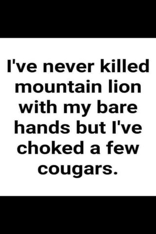 Taming the Wild: A Playful Take on Cougars 🐾