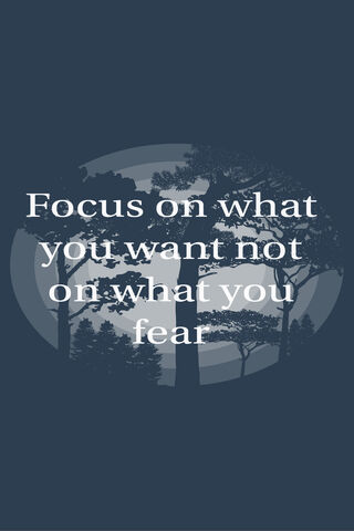 Clarity in the Wilderness 🌲✨