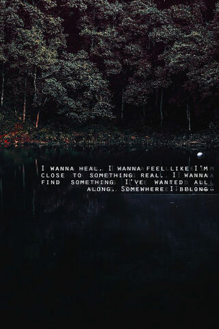 Searching for Connection 🌌✨