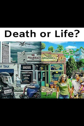 Life Or Death