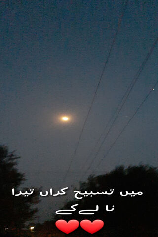 Moonlit Love: Urdu Expressions 🌙❤️