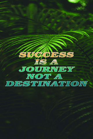 Embrace the Journey to Success 🌿✨