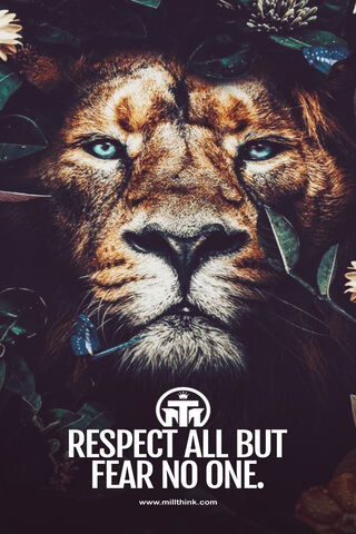 Fearless Respect: The Lion's Wisdom