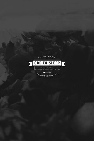 Whispers of the Night
