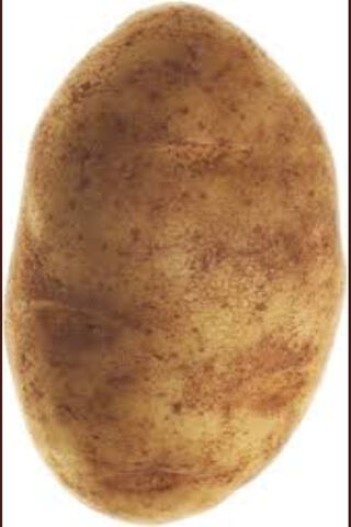 The Spud of Companionship 🥔❤️