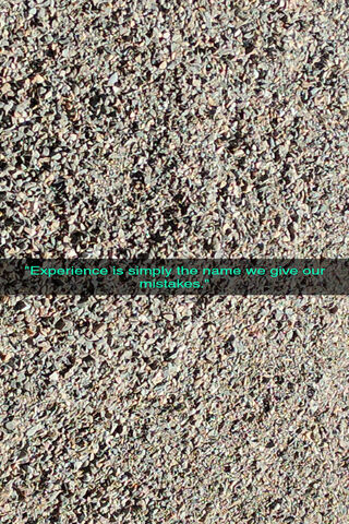 Lessons in Every Misstep 🌱