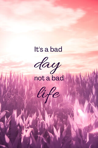 Embrace the Journey 🌅