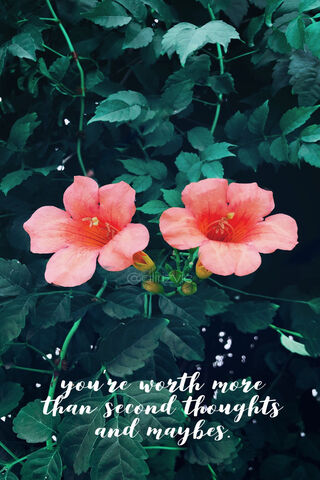 Blooming Confidence 🌸✨