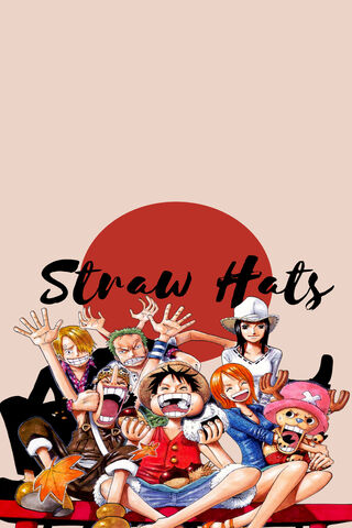 Adventure Awaits with the Straw Hat Crew! 🌊 ☠️