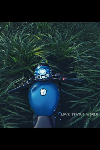 Riding the Waves of Nature 🌿🏍️