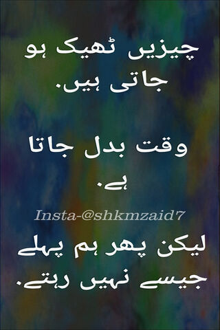 Wisdom in Words: A Shayari Reflection