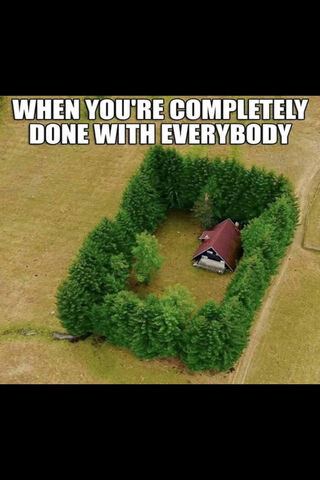 Nature's Retreat: A Cozy Escape 🌲🏡