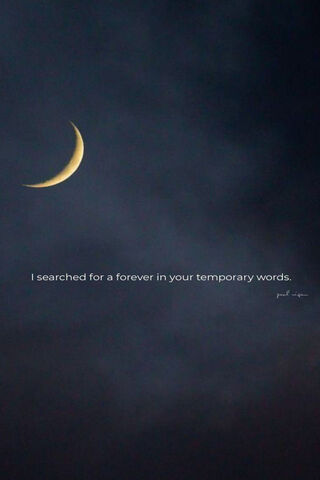 Whispers of the Night 🌙✨