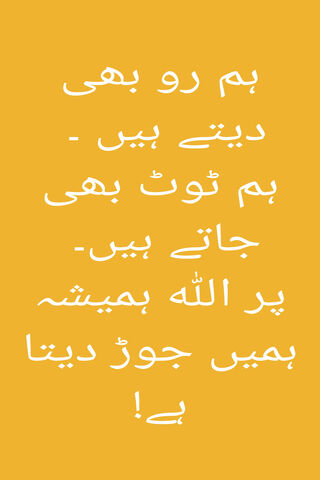 Embracing Resilience: We Lose, We Learn