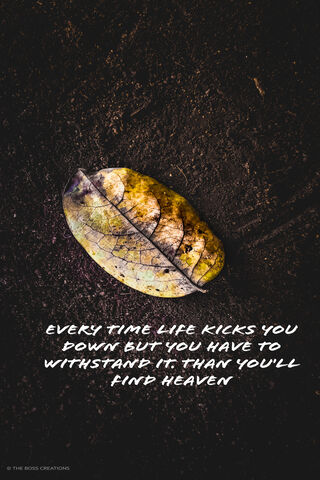 Resilience in Nature: The Journey of a Fallen Leaf 🍂