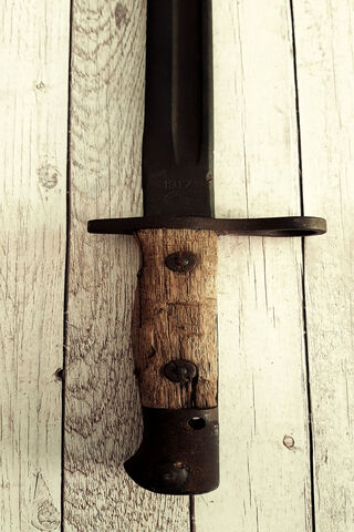 Legacy of the Blade: The Old Sword