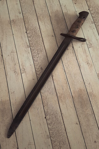 Legacy of the Blade: The Sword of 1917 ⚔️