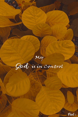 Nature's Embrace of Faith 🌿✨