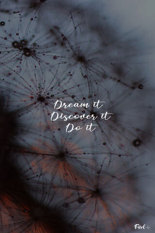 Chasing Dreams: A Journey of Discovery ✨