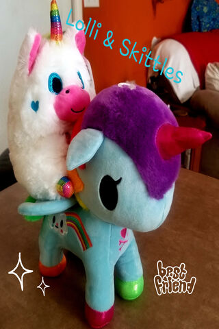 Magical Duo: Lolli & Skittles Unite! 🌈🦄