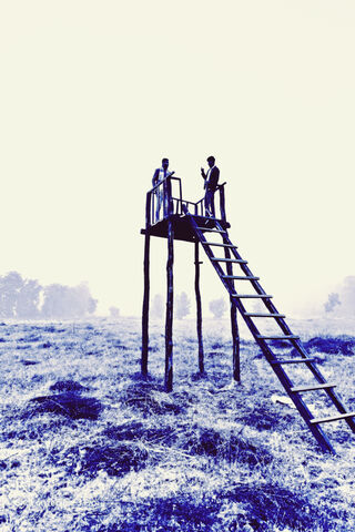 Harmony in Nature 🌿✨