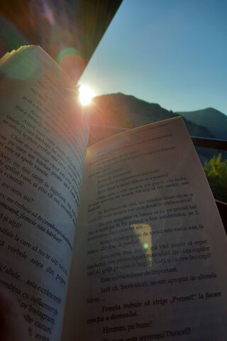 Sunset Serenity: A Perfect Reading Escape