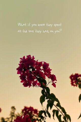 Love's Quiet Sacrifice 🌸