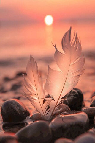 Whispers of the Sunset