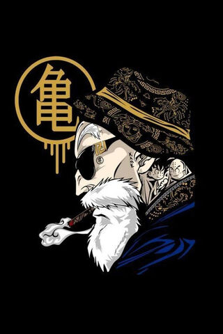 The Wise One: Roshi's Legacy 🐢✨