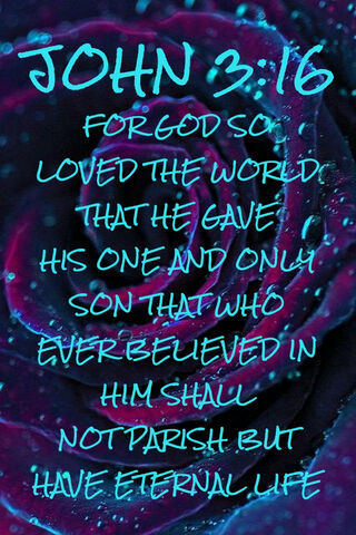 Eternal Love: A Message of Hope 🌹✨