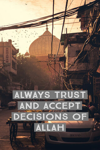 Trust Allah