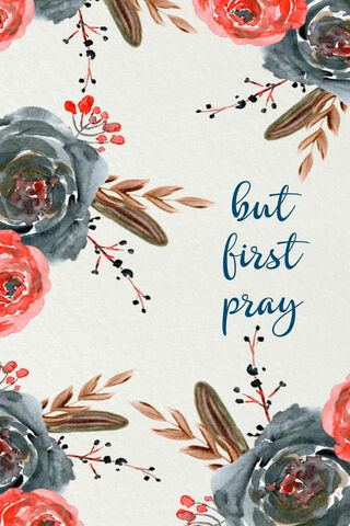 A Moment of Reflection 🌸🙏