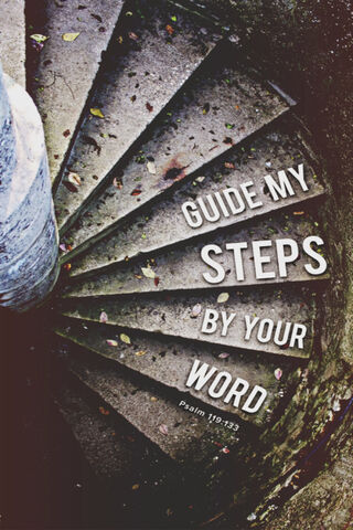 Steps of Wisdom: A Jour..