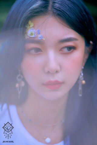 Dami: A Whisper of Elegance 🌸✨
