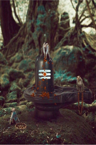 Divine Serenity: The Es..