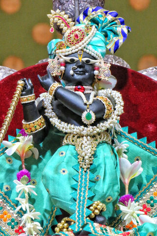 Divine Grace of RadhaRaman 🌺✨
