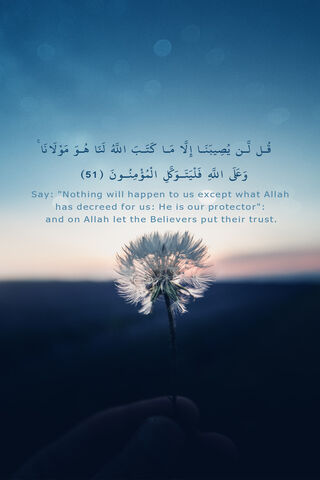 Divine Assurance: Trust in Allah 🌼✨