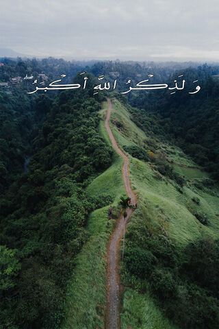 Nature's Majesty: A Path to the Divine 🌿✨