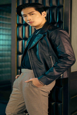 The Modern Icon: A Stylish Statement