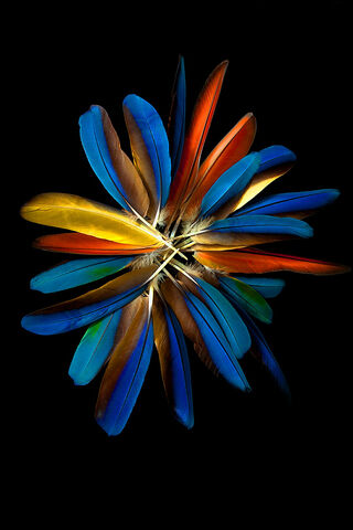 Vibrant Whirl of Color