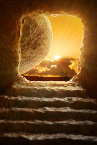 The Dawn of Hope 🌅