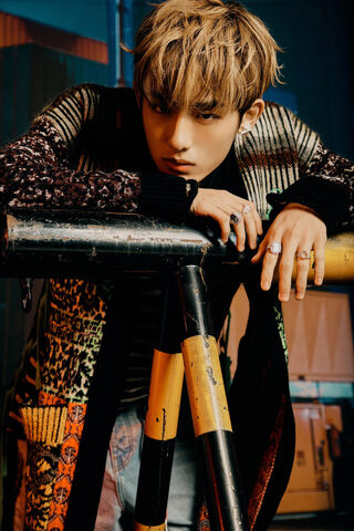 Zen Vibes: Nghệ thuật của sự tĩnh lặng