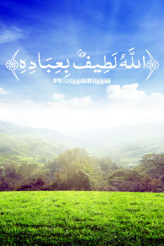 MERCY OF ALLAH