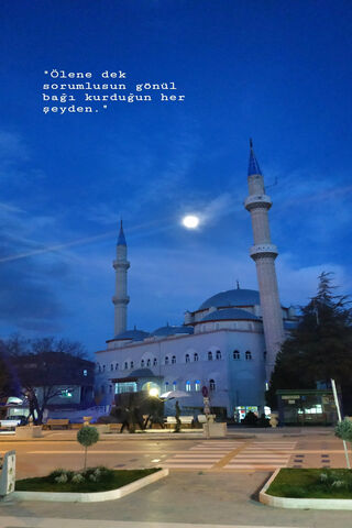 Moonlit Serenity: A Mosque at Dusk 🌙