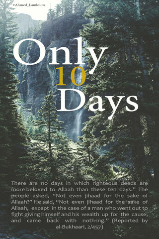 Ten Days of Purpose: A Journey of Faith 🌲✨