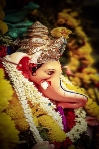 Divine Blessings of Shree Ganesha 🌼🙏
