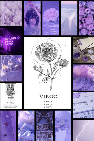 Virgo Vibes: A Journey Through the Mystic