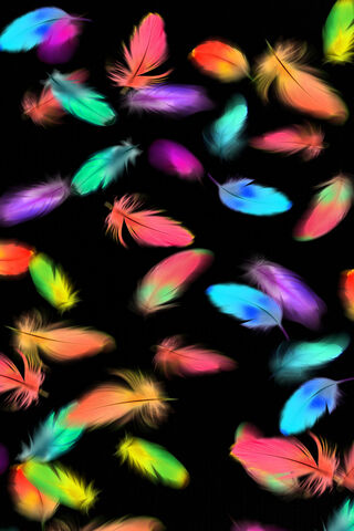 Colourful Feathers