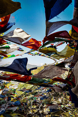 Winds of Peace: A Tapestry of Hope 🌈
