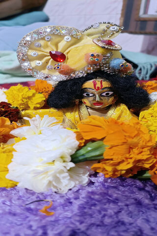 Divine Charm of Laddu Gopal 🌼✨